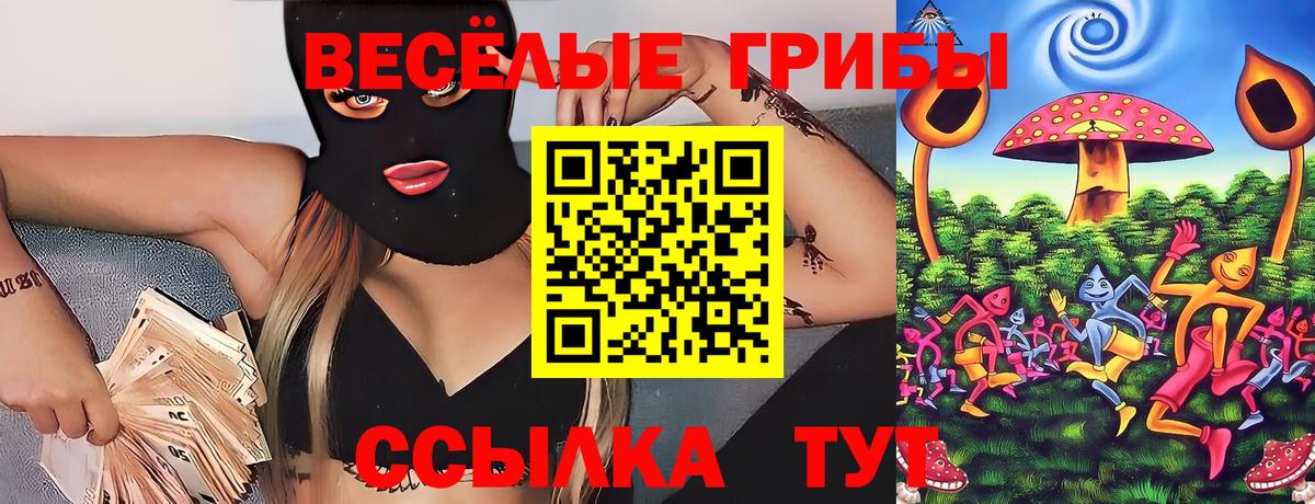 Галлюциногенные грибы Psilocybe Россошь